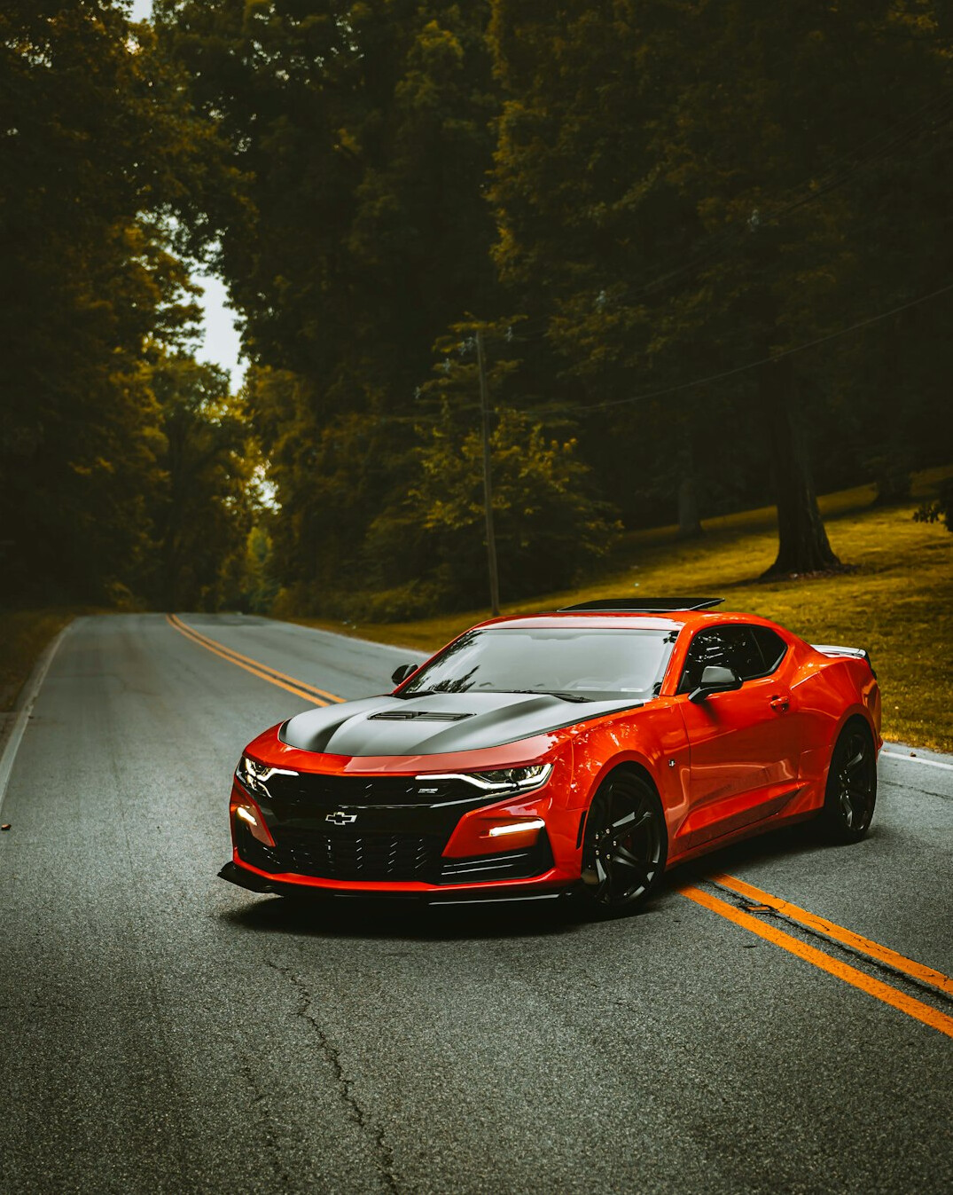 luxury sports car on road